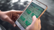 travel app GIF