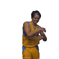 basketballsuperliga dance bsl sknbasketball Sticker