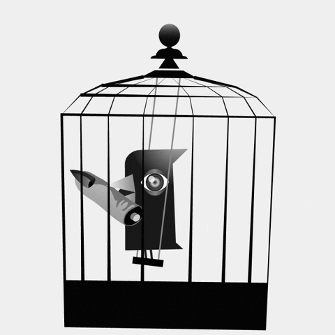 filippoalloisio giphyupload bird cage GIF