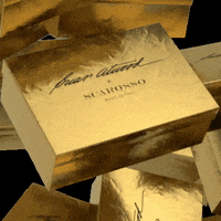Scarosso brianatwoodxscarosso brian atwood x scarosso GIF