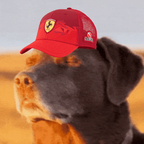 Depression Hamilton GIF