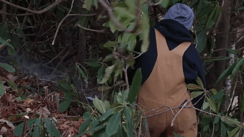 Chainsaw Overalls GIF by JC Property Professionals