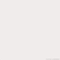Peek A Boo Love GIF by hamsta.world