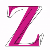 Izaro_Studio logo studio z brands GIF