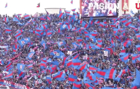 U De Chile Bulla GIF