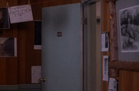 Season 2 Episode 21 GIF by Twin Peaks on Showtime