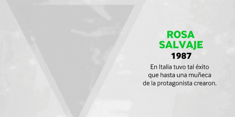 josuabidam giphygifmaker rosasalvaje GIF