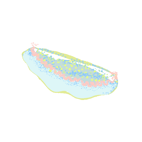 peachbabystudio giphygifmaker sea creature peachbaby nudibranch Sticker