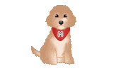 Cute Dog Sticker by zoopeez