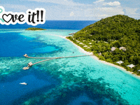 Blog Social Und Meta Franchising GIF by FranchiseONE.de