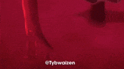 Bleach Tybw GIF