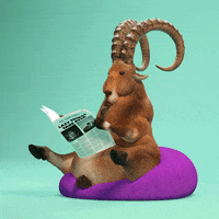 LazyThings things lazy lazythings lazy things GIF