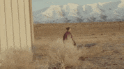 Bad Boy Hideaway GIF by Daya