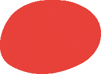 Sinterklaasintocht Roetveegpiet Sticker by Gemeente Apeldoorn