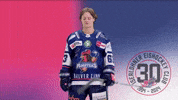 Geiger GIF by Iserlohn Roosters