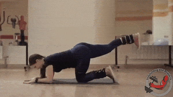 bodybuilding-and-fitness giphyupload utyazheliteli GIF