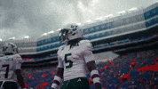 College Football GIF by USF Athletics