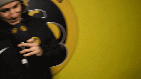 Bsc Young Boys Interview GIF by Radio Gelb-Schwarz