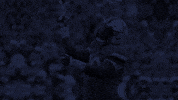 Uva Football Sack GIF by Virginia Athletics