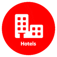 Holiday Vacation Sticker by AirAsia