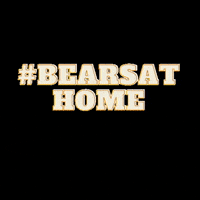 LandonSchool bears gobears landon landonschool GIF