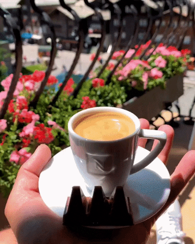 yj_jane giphygifmaker GIF