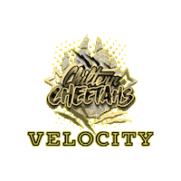 Cheerleading Velocity Sticker by Chiltern Cheetahs