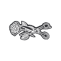 Rose Scissors Sticker by Spoke And Dagger Co.