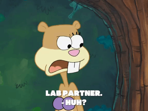 season 7 episode 26 GIF by SpongeBob SquarePants