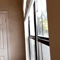 Scalien GIF by MSCreativeTeam