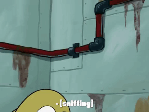 season 7 episode 3 GIF by SpongeBob SquarePants