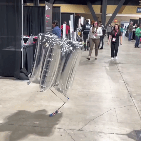 Bipedal Balloon Robot