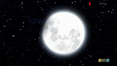 newscaststudio giphyupload GIF