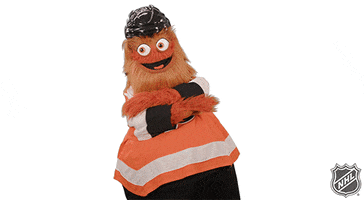 Ice Hockey No GIF by NHL