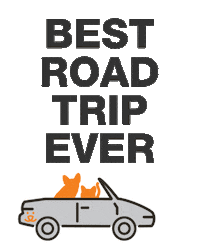 Save Them All Road Trip Sticker by Best Friends Animal Society