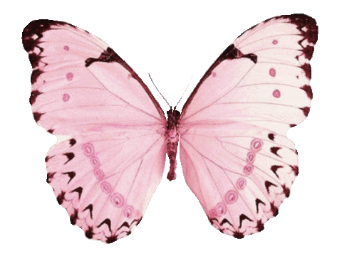 Girl Flying Sticker
