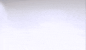 wildcats hello GIF by University of New Hampshire