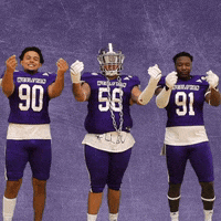 Football Wesleyan GIF by KWC Panthers