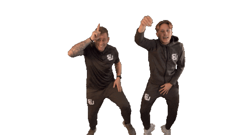 Senwlvdansen Sticker by Sport en Welzijn Leidschendam-Voorburg