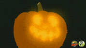 jack o lantern halloween GIF by PBS KIDS