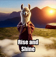 Rise And Shine Meditation GIF by dalaillamazen