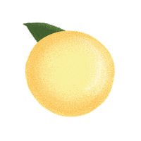 DrinkAceHill grapefruit radler ace hill drink ace hill Sticker