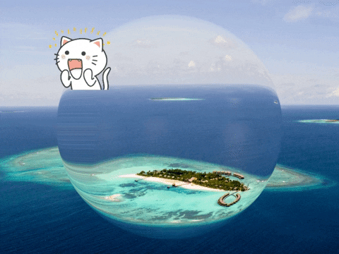 You Can Wow GIF by FranchiseONE.de