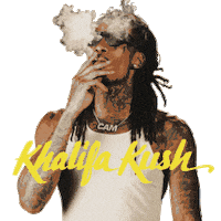 Kk Sticker by Khalifa Kush