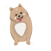 Puppy Pomeranian Sticker