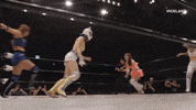 Bad Ass Win GIF by THE WRESTLERS