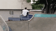 summer skate GIF by EchoBoom Sports