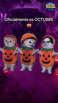 Halloween Emocionados GIF by Sou Eu Na Vida