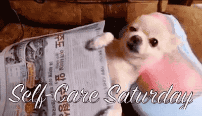 Video gif. A chihuahua lying on a couch, holding a newspaper, enjoying a neck massager. Text, "Self care Saturday."