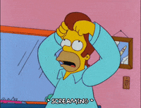 homer simpson GIF